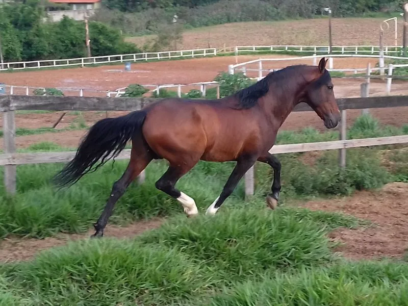 DIVINA DA CATUÇABA