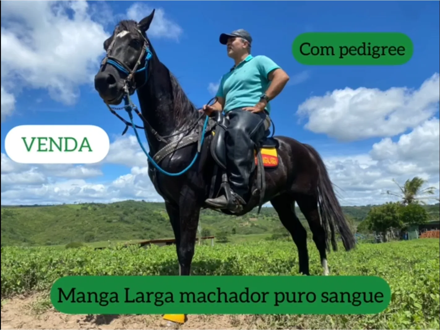 Fator do Kelner