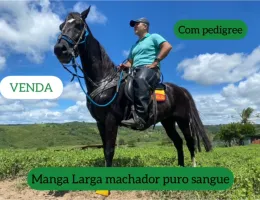 Fator do Kelner