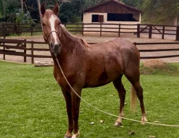 Equador